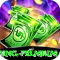 33ee - Gaming Premium