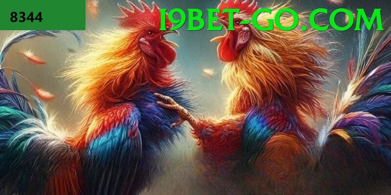 Đá Gà Trực Tiếp - i9bet - Chơi miễn phí