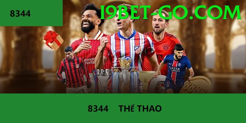 Cá Cược Thể Thao - Hỗ trợ